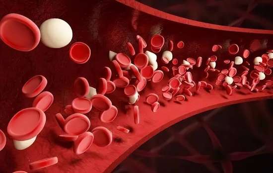 每天吃多少红枣能起到补血的功效