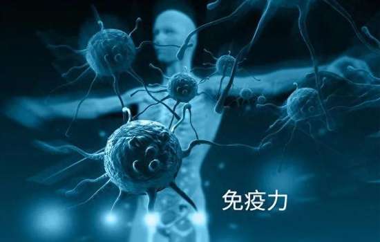 胡萝卜降糖吃法