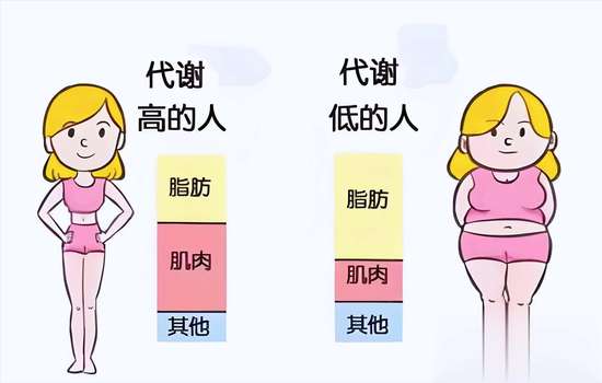 体重秤说谎原因