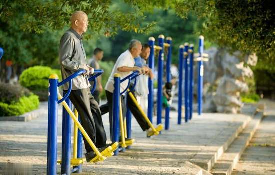 老人常吃的豆类有哪些