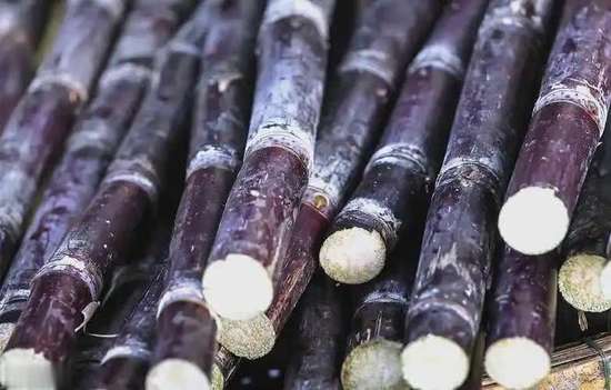 糖尿病人吃甘蔗