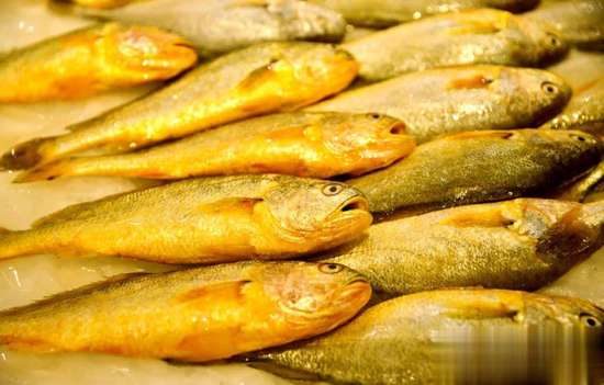 气色黄气血不足怎么调理