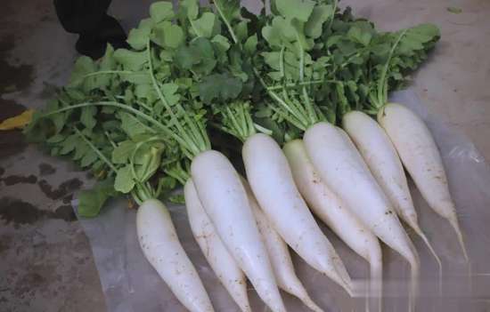 冬天容易胃胀怎么回事