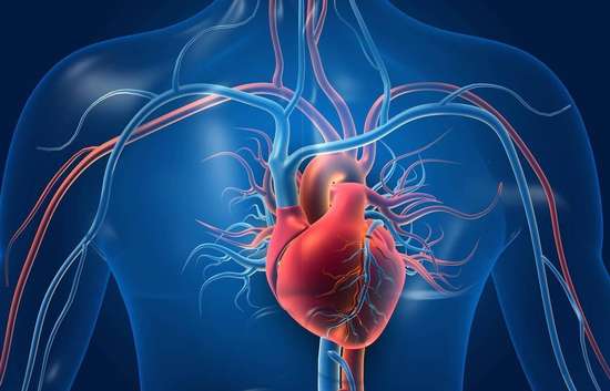 冠心病千万别碰的五种食物