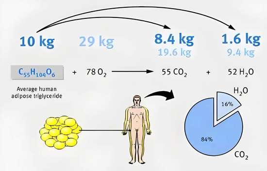 熬夜睡眠质量差怎么办