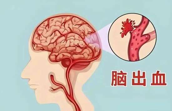高血压的药医生说一天吃两次