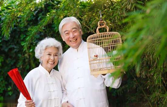 十大补品炖汤营养功效