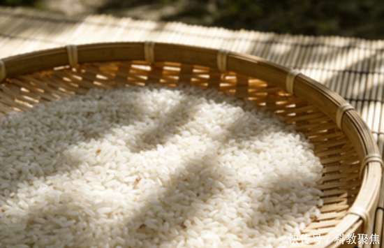 大量的人造米流入市场