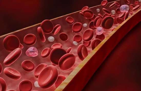 高血压病人忌食哪些