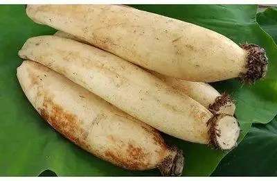 秋冬口干舌燥喉咙干燥