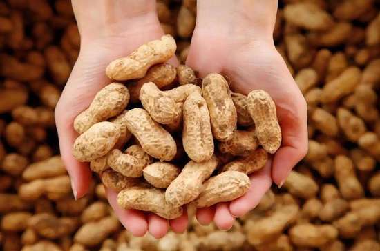 高血压一粒花生都不能吃