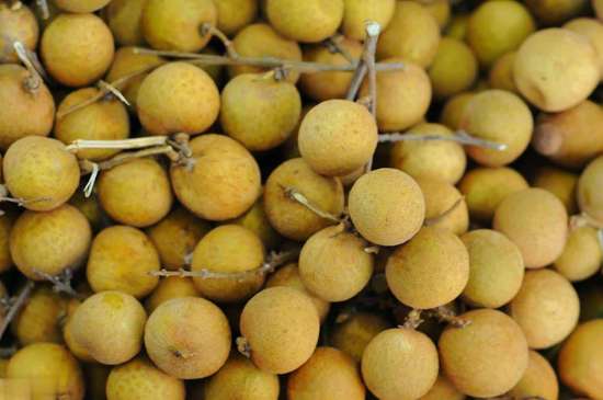 查出肺气肿但医生却没给治疗