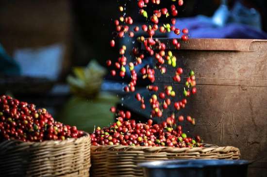 全国咖啡巅峰赛是什么