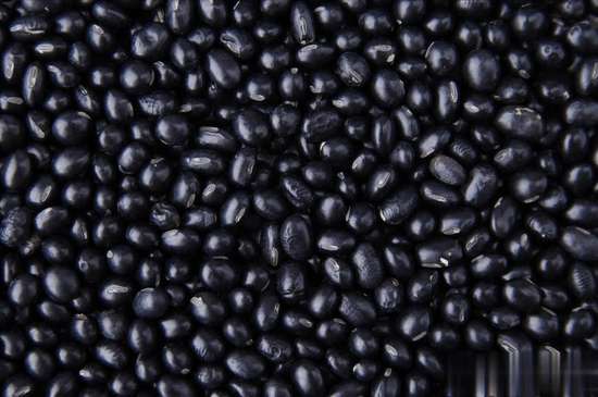 冬季补肾黑色食物