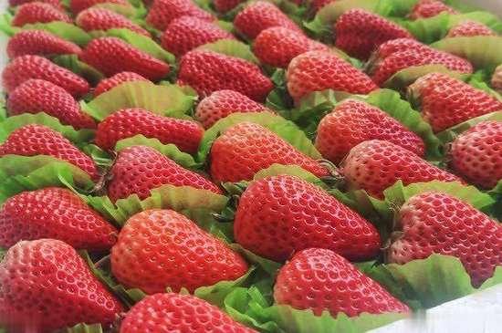 寒潮中老年人健康知识