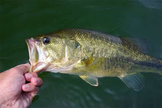 别让缺碘偷走健康