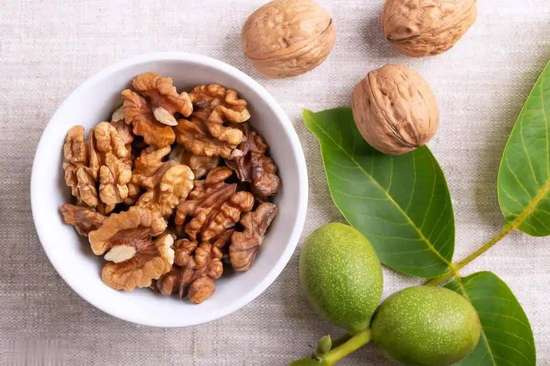 老人吃坚果有什么功效与作用