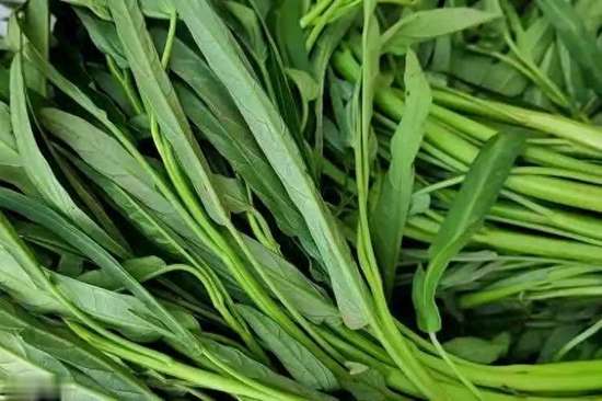 空心菜的副作用