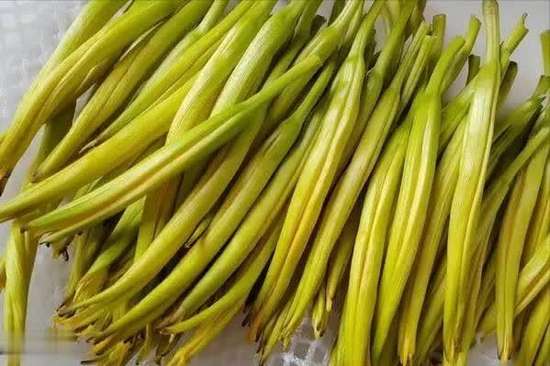 给年轻人善意提个醒