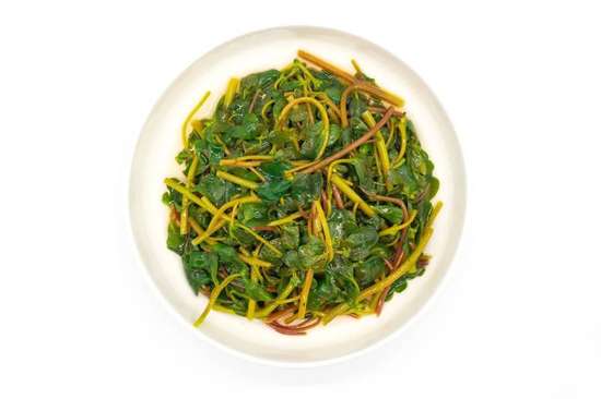 野菜马齿苋的功效与作用