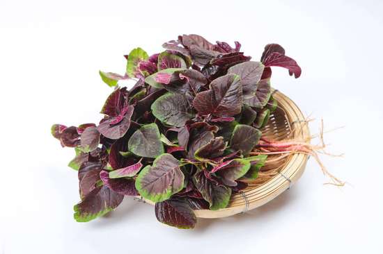 千万不要喝的十种牛奶