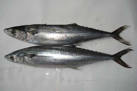 冬天怕冷身上暖不过来