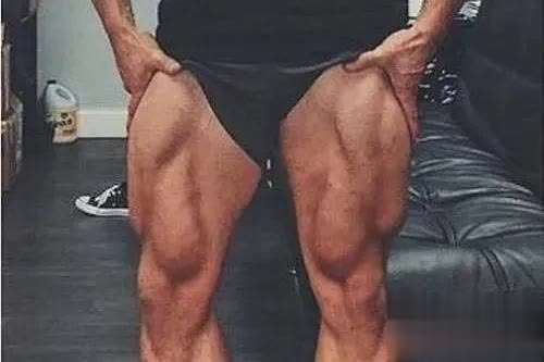 零器械自重训练方法