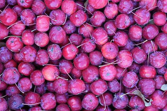 冰糖葫芦同城用户