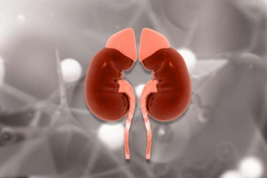 上海交大研究不吃大蒜和辣椒的人