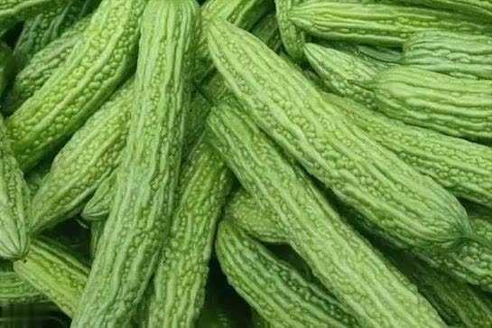 常吃苦瓜的好处有哪些