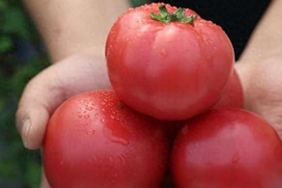 西红柿不能随便吃