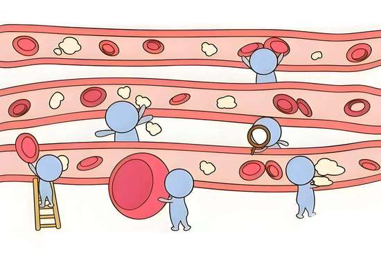 耳朵一边发热一边凉是怎么回事