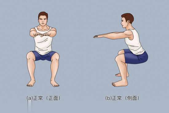 动作之王是什么运动