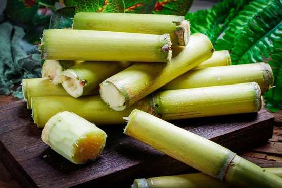 甘蔗长得慢是什么原因