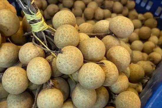 苹果是天然胰岛素