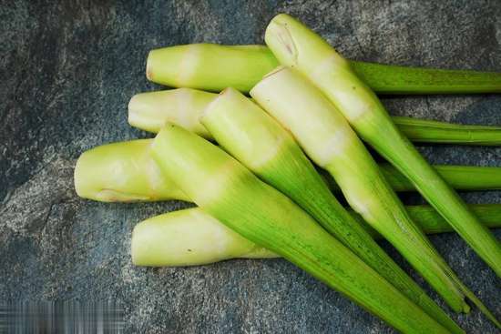 莲藕是寒凉的吗