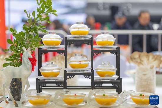 重庆巴南奇石展会