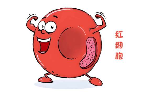 吃叶酸有什么用途和作用