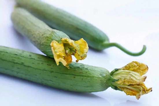 糖尿病人吃桃子实验