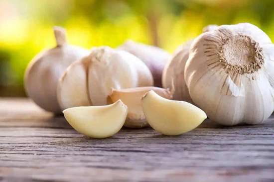 大蒜遭遇倒春寒危害如何挽救