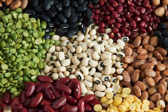 老人常吃的豆类有哪些