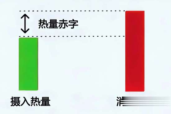 波比跳每组间隔多久