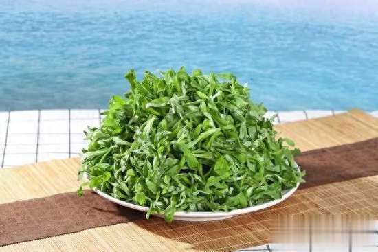 这个季节好吃的饺子馅