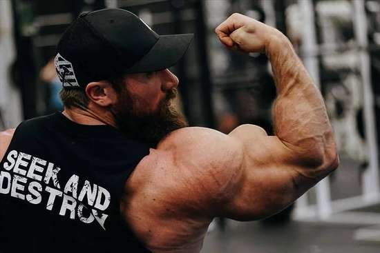 徒手增肌训练计划