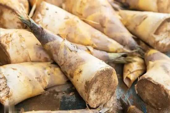 竹笋营养和功效与作用