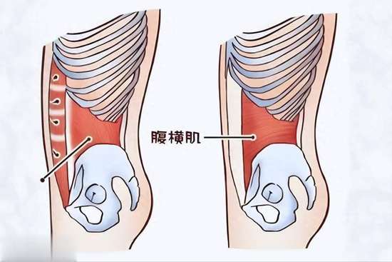 瘦肚子的方法1天消除大肚子