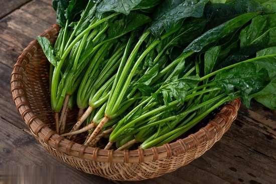 空心菜是毒王吗