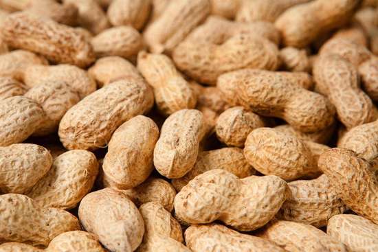 医生说的血脂高是怎么回事