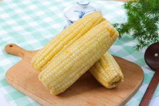 玉米最营养的部位