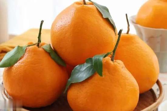 医生说肝不好什么意思